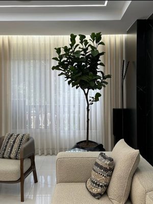 پرده مینیمال در اصفهان